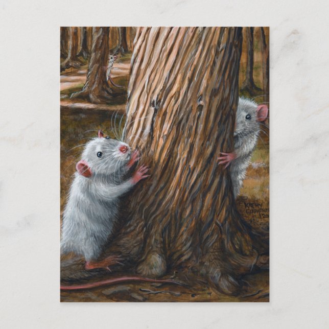 Rats par vieux arbre cache et chercher carte posta (Devant)