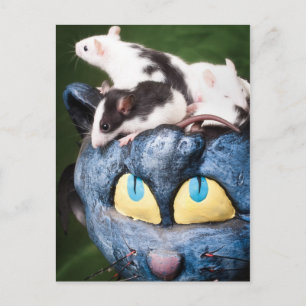 Rats sur la carte postale du cerveau