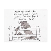 Ratschläge für einen Welpen