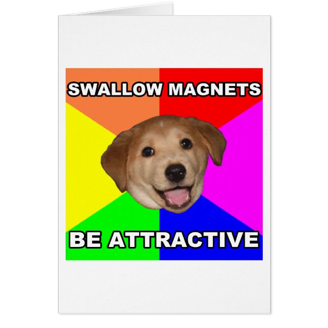 Ratschläge für Hunde Schluckmagnete (Vorne)