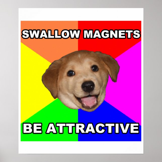Ratschläge für Hunde Schluckmagnete Poster (Vorne)