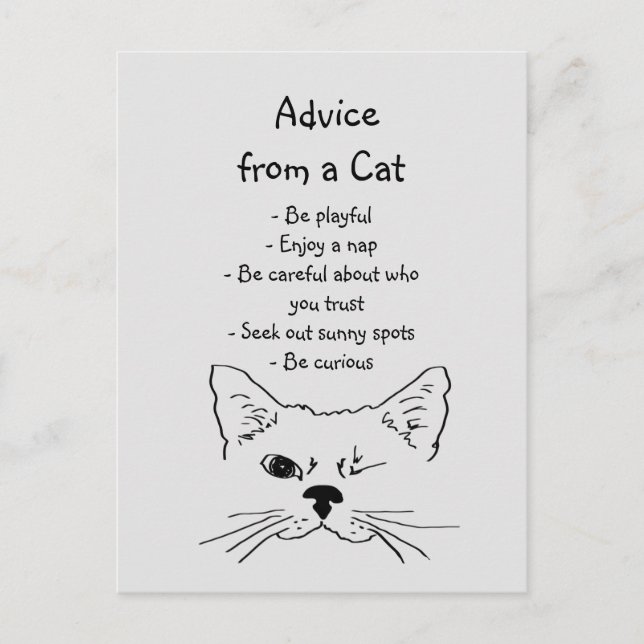 Ratschläge von Winking Cat Fun Animal Spaß Postkarte (Vorderseite)