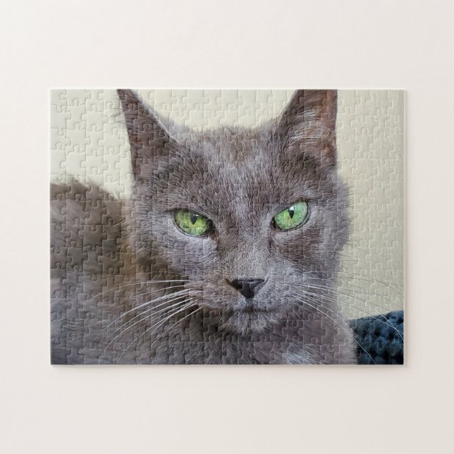 Rätsel der grauen Katze (Horizontal)