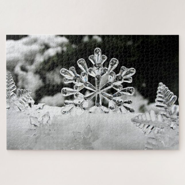 Rätsel der Schneeflocken (Horizontal)