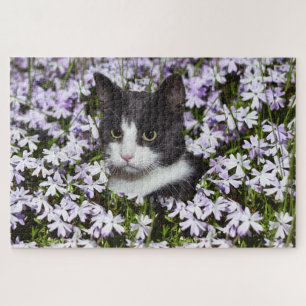 Rätsel der Wiesenkatze