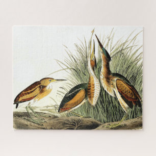 Rätsel der wild lebenden Vogelarten