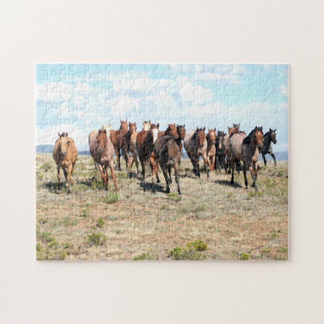 Rätsel "Herd of Horses" (Horizontal)