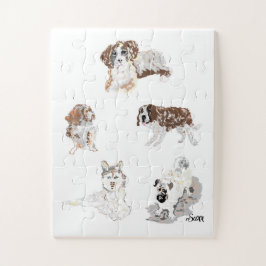 Rätsel: Liebe von Hunden