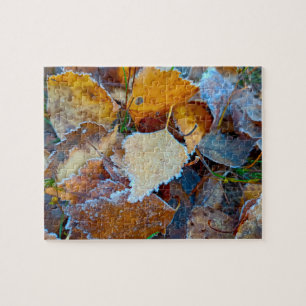 Rätsel mit Frost auf Herbstblättern