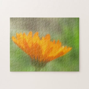 Rätsel - Ringelblume
