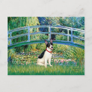 Ratt Terrier - Brücke Postkarte