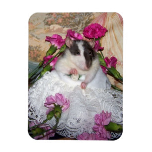 Ratte Bride Trudy Flexible Magnet