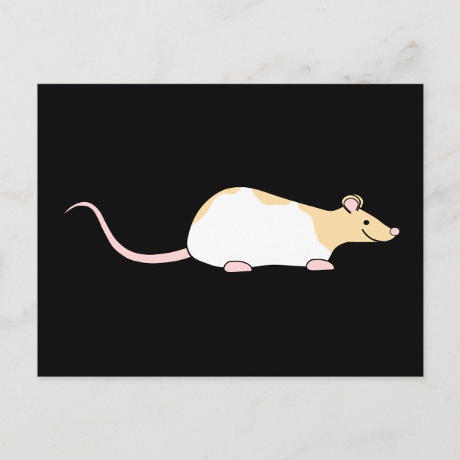 Ratte für Haustiere. Fawn und White Hooded variier Postkarte (Vorderseite)