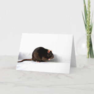 Ratte gcm karte