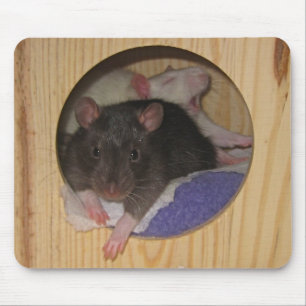 Ratte Mousepad