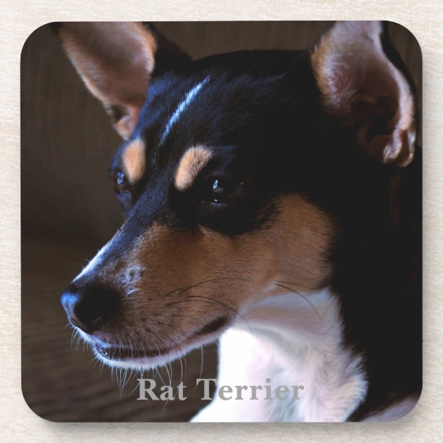 Ratte Terrier Untersetzer (Vorderseite)