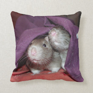 Ratten, die Amerikaner Mojo Kissen verstecken