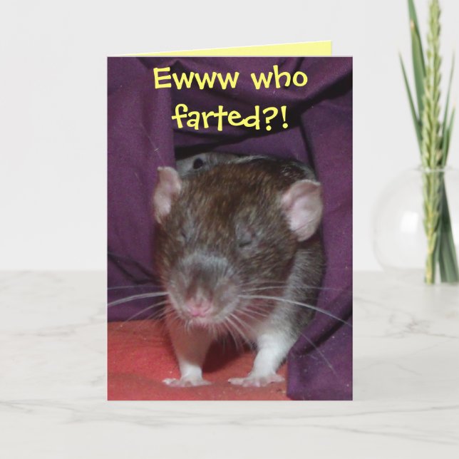 Ratten, die eine individuell anpassbare Grußkarte  Karte (Vorderseite)