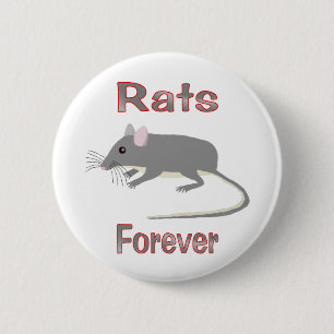 Ratten für immer button