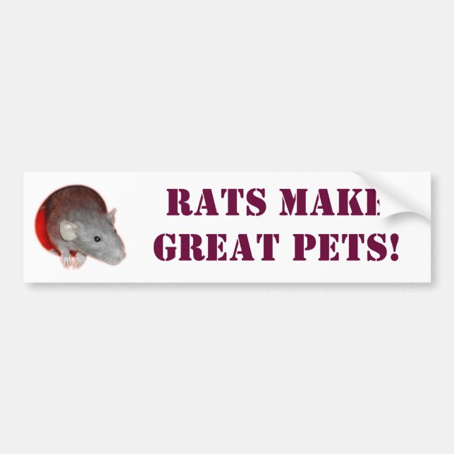 Ratten machen große Haustiere! Autoaufkleber (Vorne)