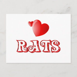 Ratten Postkarte