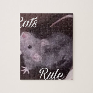 Ratten-Regel