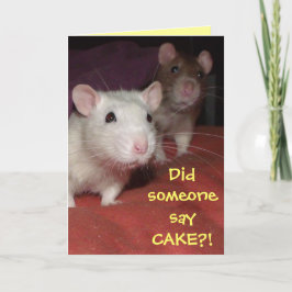 Ratten sprechen Grußkarte Karte