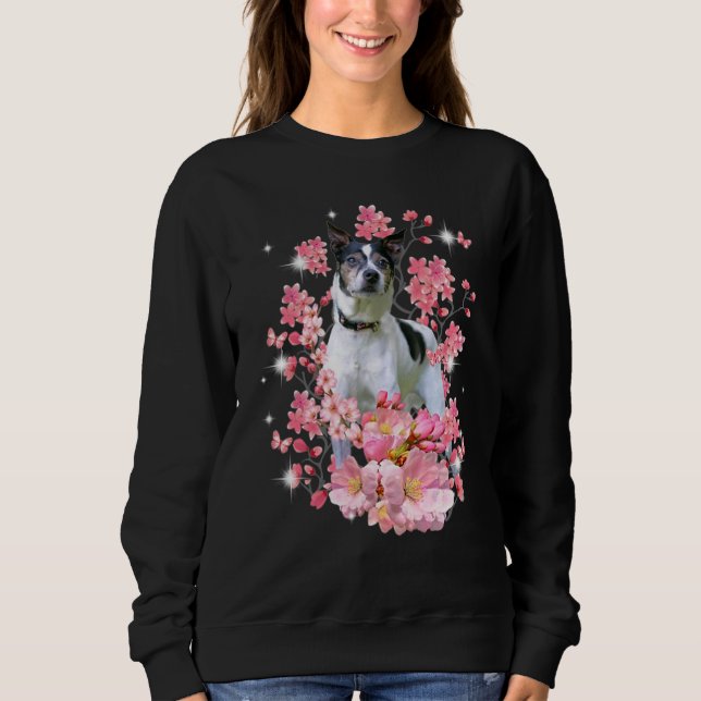 Ratten Terrier Kirschblüten Blumen Sweatshirt (Vorderseite)