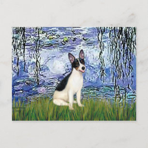 Ratten Terrier - Lilien 6 Postkarte