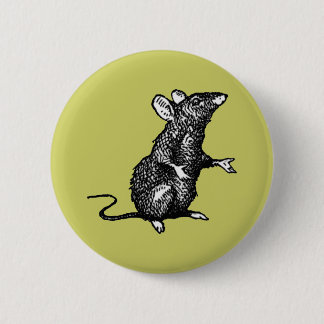 "Rattengesicht" - Button