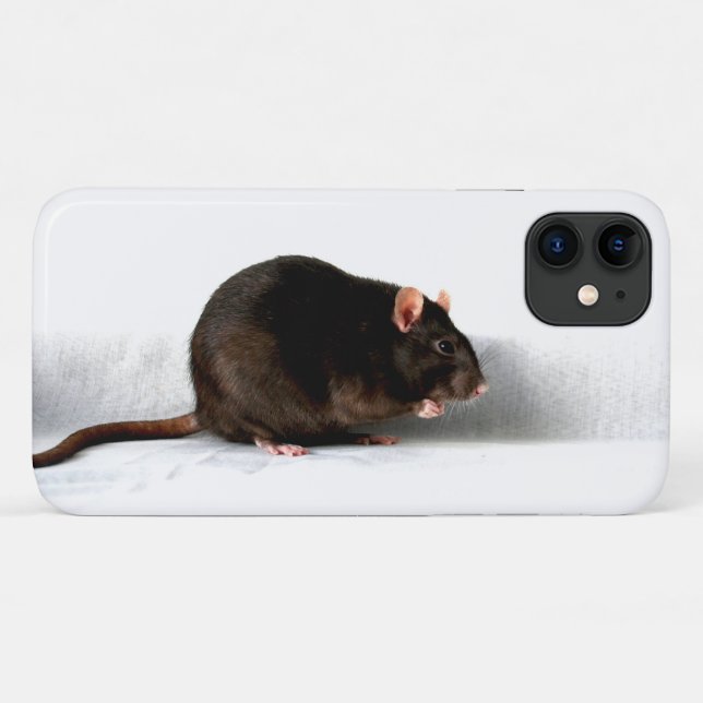 Rattenipha Case-Mate iPhone Hülle (Rückseite (Horizontal))