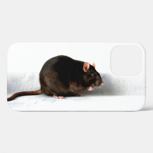 Ratteniphcna Case-Mate iPhone Hülle