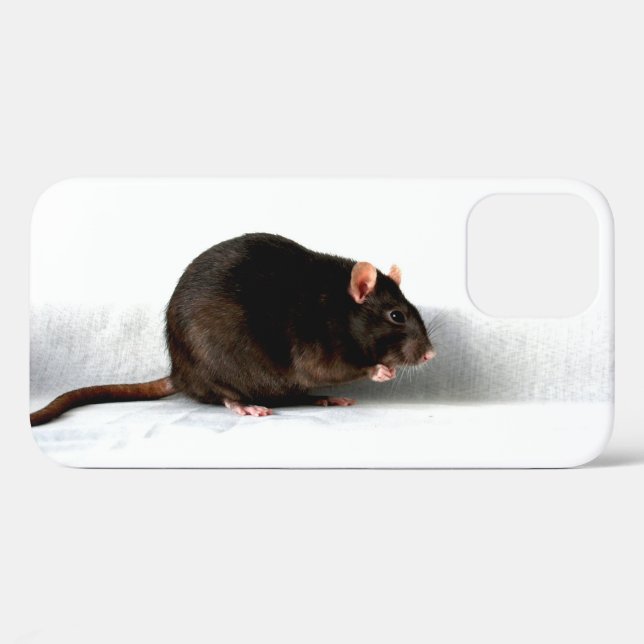 Ratteniphcna Case-Mate iPhone Hülle (Rückseite (Horizontal))
