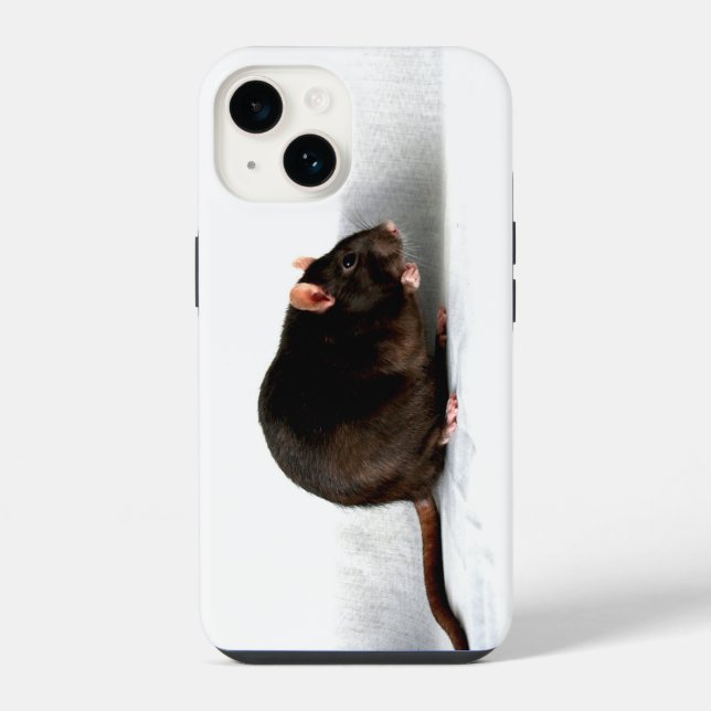Ratteniphcnm iPhone 14 Hülle (Rückseite)