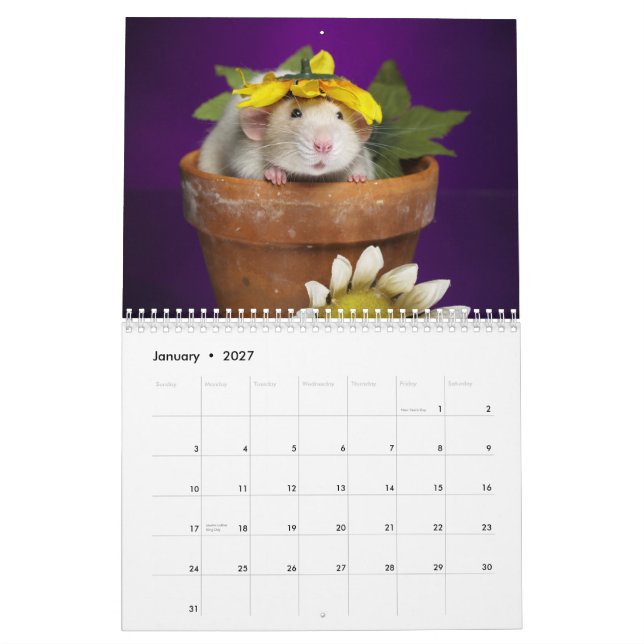 Rattenkalender 2012 kalender (Jan 2027)
