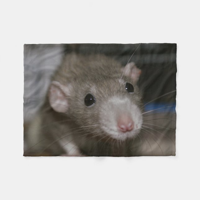 Rattenrat Fleecedecke (Vorderseite (Horizontal))