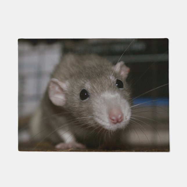 Rattenrat Fußmatte (Vorderseite)