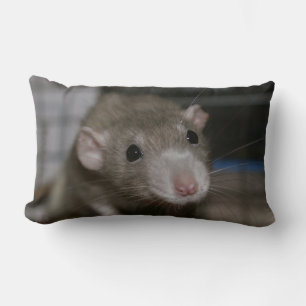 Rattenrat Lendenkissen