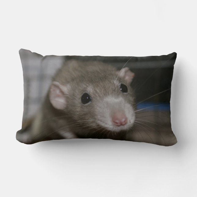Rattenrat Lendenkissen (Vorderseite)