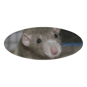 Rattenrat Namenschild