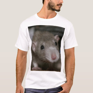 Rattenrat T-Shirt