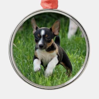 Rattenterrier Verzierung Silbernes Ornament