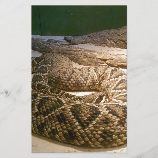 Rattle Snake (Vorderseite)