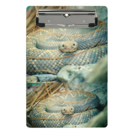 Rattlesnake Clipboard Mini Klemmbrett