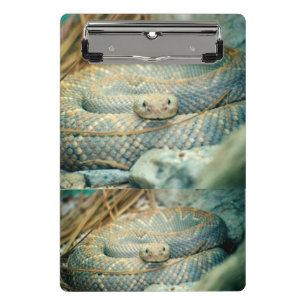 Rattlesnake Clipboard Mini Klemmbrett