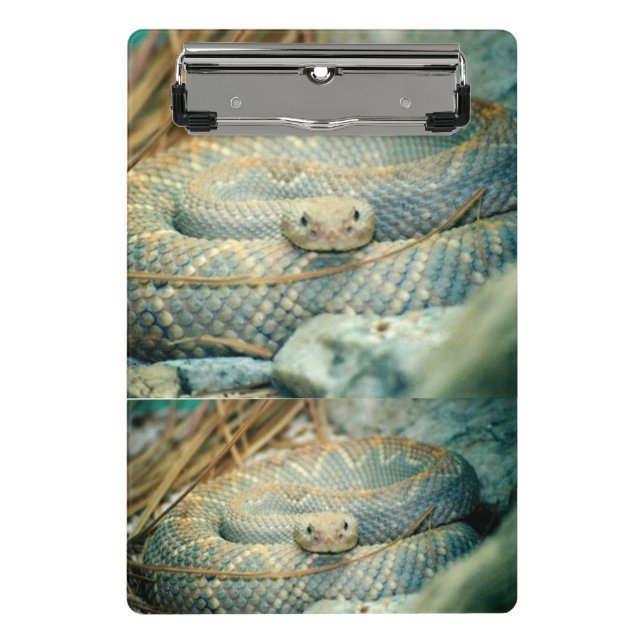 Rattlesnake Clipboard Mini Klemmbrett (Vorderseite)