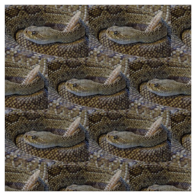 Rattlesnake Foto Stoff (Muster)