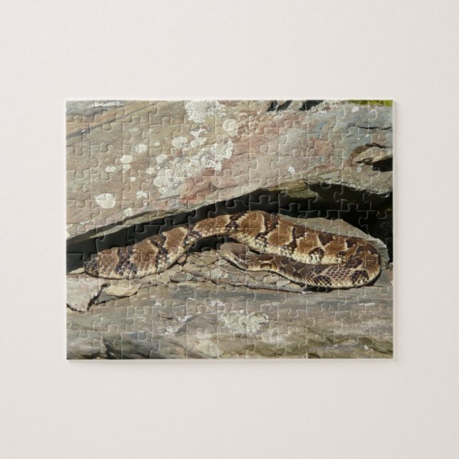 Rattlesnake im Shenandoah-Nationalpark (Horizontal)