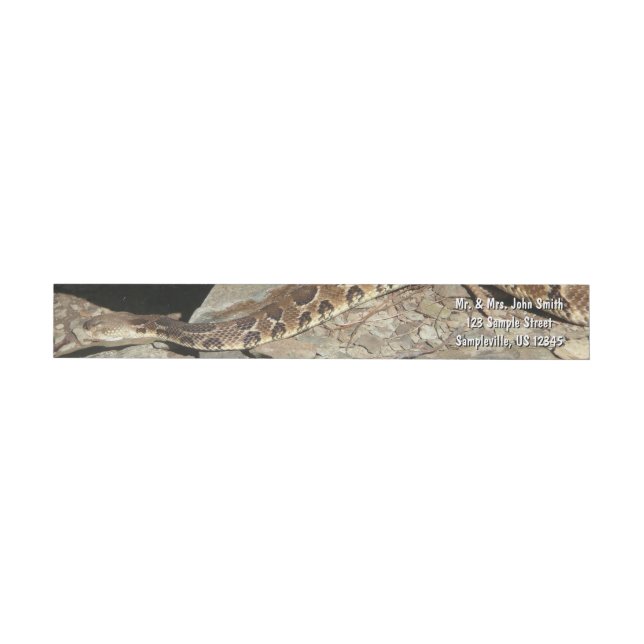 Rattlesnake im Shenandoah-Nationalpark (Person)