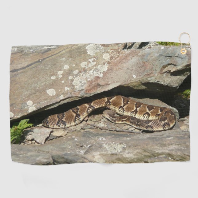 Rattlesnake im Shenandoah-Nationalpark Golfhandtuch (Horizontal)